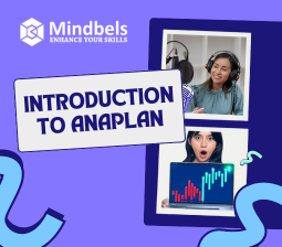 Introduction to Anaplan - A Beginner's Guide