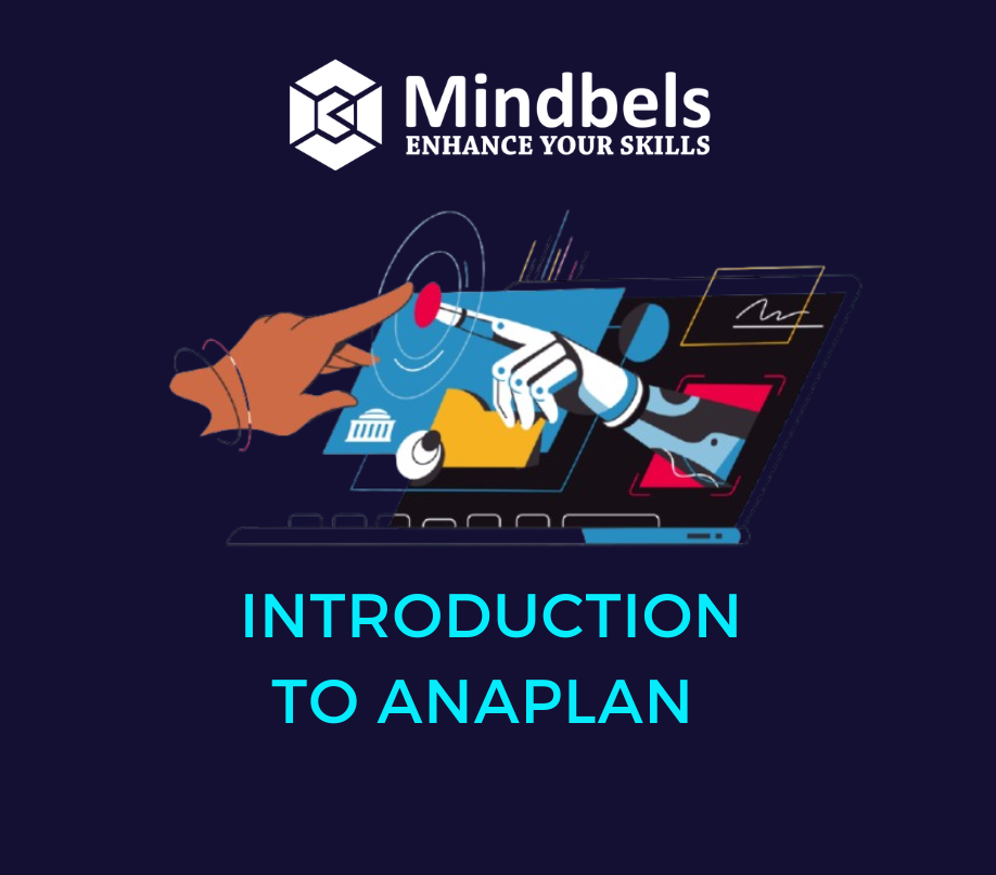 Introduction to Anaplan - A Beginner's Guide